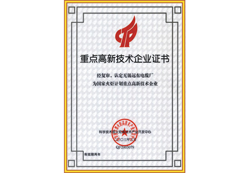重点高新技术企业证书